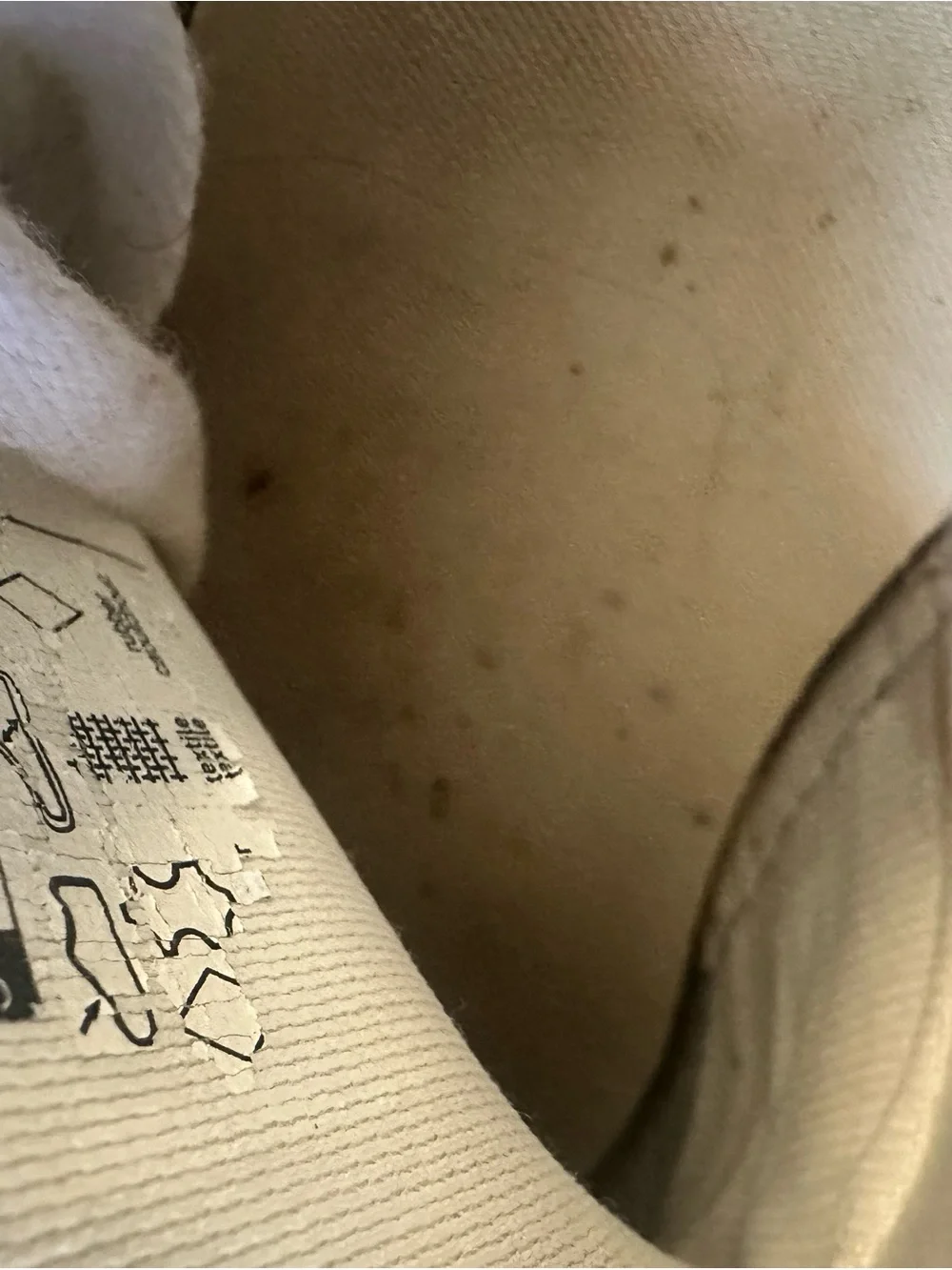 Veja minimal sneakers